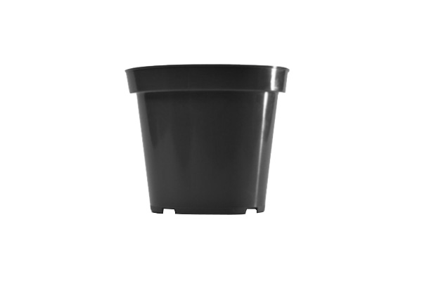 3 Inch Standard Round Pot Black Belden - 1000 per case - Standard